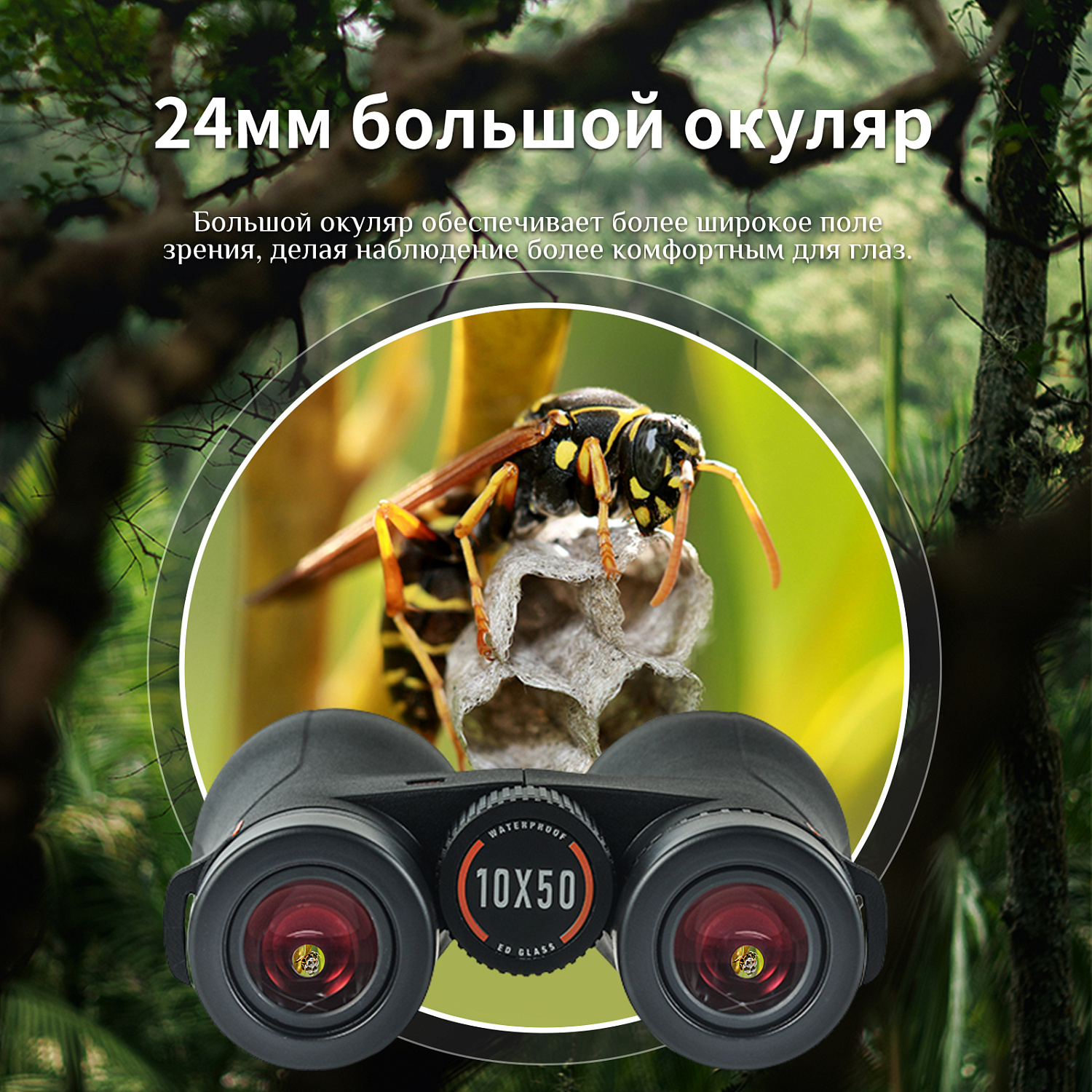 Бинокль Eyeskey Wave ED-10x50
