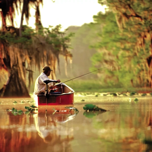 Endura 30 lb. Thrust, 30" Shaft, Battery Meter 1352270M от прозводителя Minn Kota