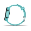 Garmin Forerunner® 55 Monterra Grey 010-02562-13 от прозводителя Garmin