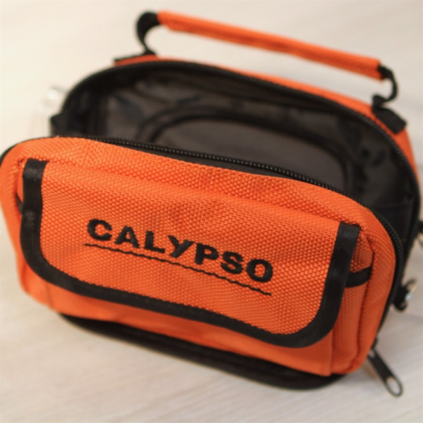 Камера CALYPSO UVS-03 Plus с записью FDV-1113 от прозводителя CALYPSO