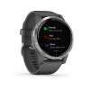 Garmin Vivoactive 4 - 45 мм | Shadow Grey with Silver Hardware