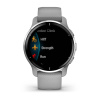 Garmin Venu 2 Plus серые с серебристым безелем и силиконовым ремешком 010-02496-10 от прозводителя Garmin