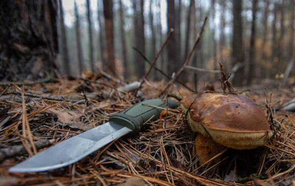 Нож Morakniv Kansbol, нержавеющая сталь, крепление Multi-Mount, 12645 12645 от прозводителя Morakniv