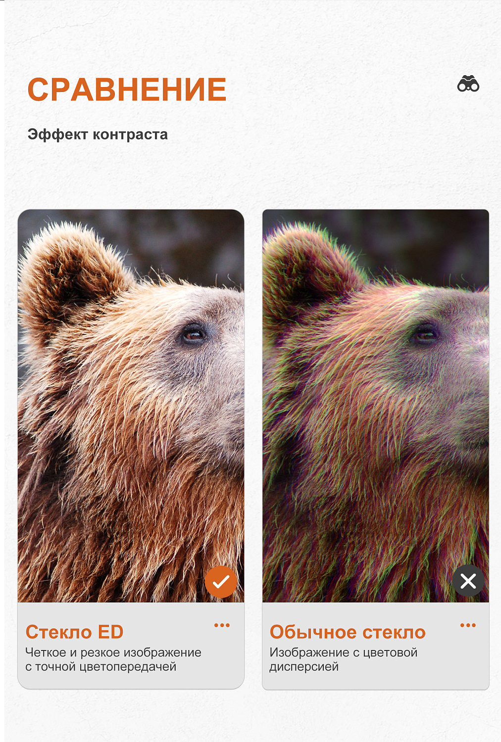Бинокль Eyeskey Zenith ED -10x42