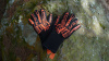 Перчатки защитные O-Gloves OGLOVES от прозводителя N/a