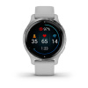 Garmin Venu 2S серебристые 010-02429-12 от прозводителя Garmin