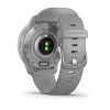 Garmin Venu 2 Plus серые с серебристым безелем и силиконовым ремешком 010-02496-10 от прозводителя Garmin